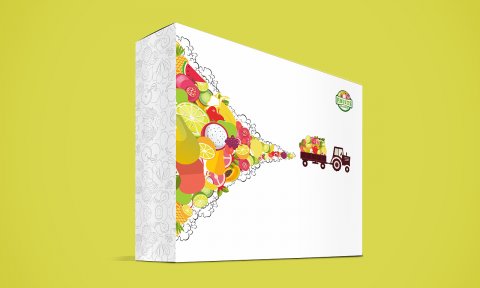 水果包裝盒效果圖